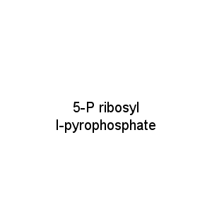 5-P ribosyl I-pyrophosphate